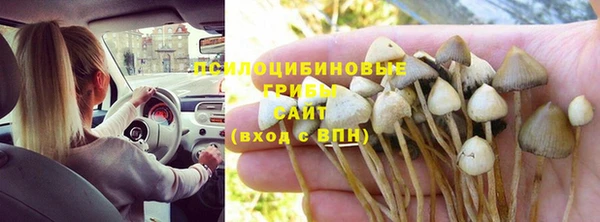 тгк Покровск