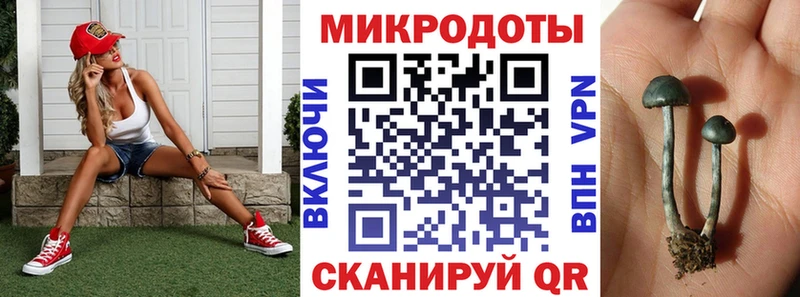 Галлюциногенные грибы Magic Shrooms  Красноперекопск 